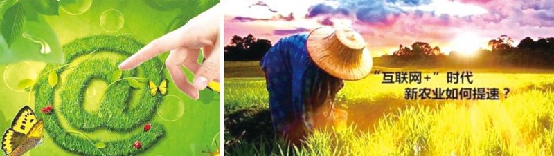 加快&ldquo;物聯網+農業&rdquo;落地意義深遠