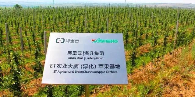 未來農(nóng)業(yè)價(jià)值可期！阿里、京東、華為，碧桂園紛紛發(fā)力數(shù)字農(nóng)業(yè)