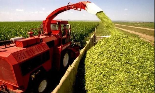 看數(shù)字農(nóng)業(yè)如何為中國(guó)農(nóng)業(yè)開展新道路