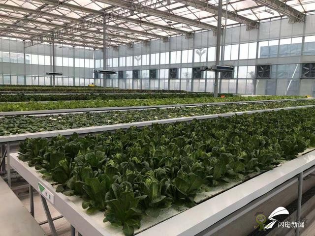 智慧農(nóng)業(yè)新探索&mdash;&mdash;&ldquo;投資商+運(yùn)營(yíng)商+家庭農(nóng)場(chǎng)&rdquo;模式