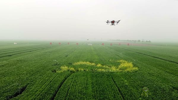 河南尉氏縣:5G+智慧農(nóng)業(yè) 農(nóng)田里有了這些“黑科技”