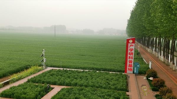 河南尉氏縣:5G+智慧農(nóng)業(yè) 農(nóng)田里有了這些“黑科技”