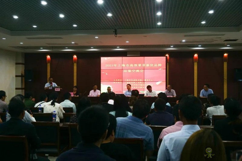高效果菜新優(yōu)品種品鑒交流會舉行,一批優(yōu)質(zhì)新品種有望走上市民餐桌