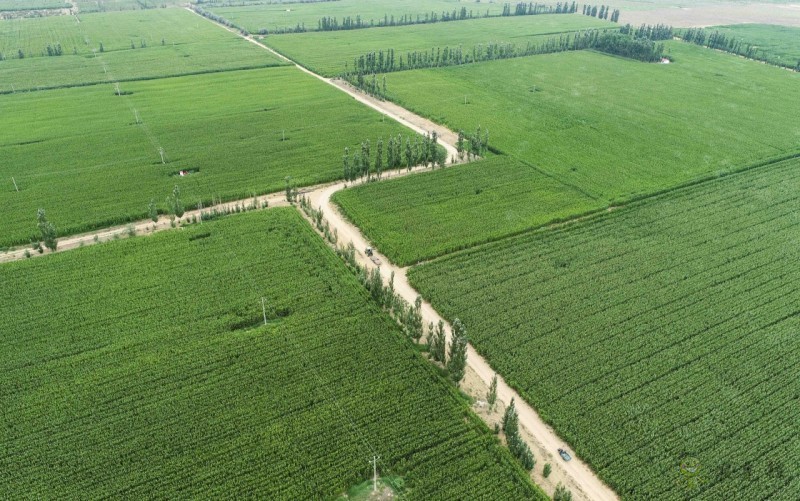 鄂爾多斯:打造高標準農田 促進種植業快速發展