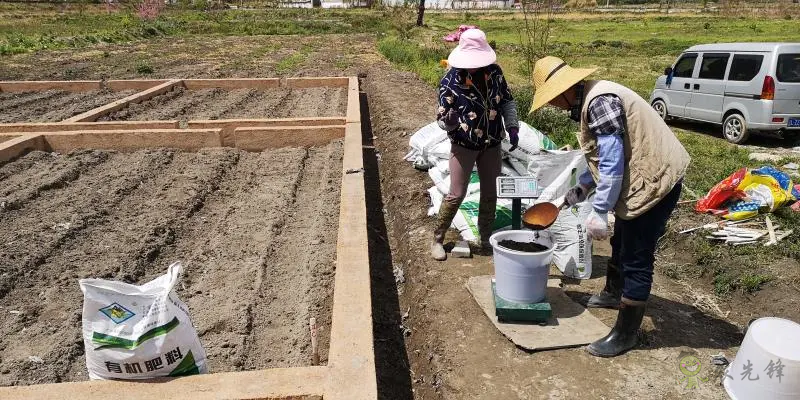 官方發(fā)布養(yǎng)殖廢棄物資源化10大關鍵技術