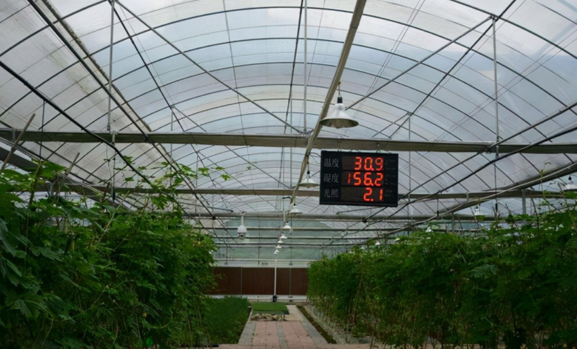 農業物聯網是什么?對農業的好處到底在哪里?