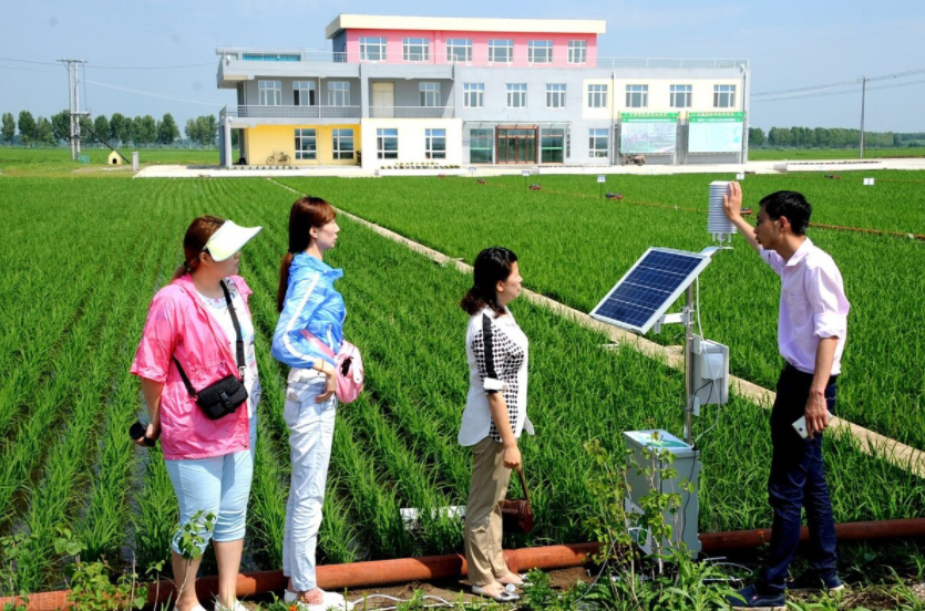 智慧農業未來:物聯網+農業:連接性如何改變農業