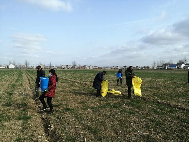 江蘇濱海:農(nóng)業(yè)生產(chǎn)正當(dāng)時(shí)虎力全開(kāi)備春耕