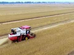 穩了!“中原糧倉”實現麥收供需對接全覆蓋!