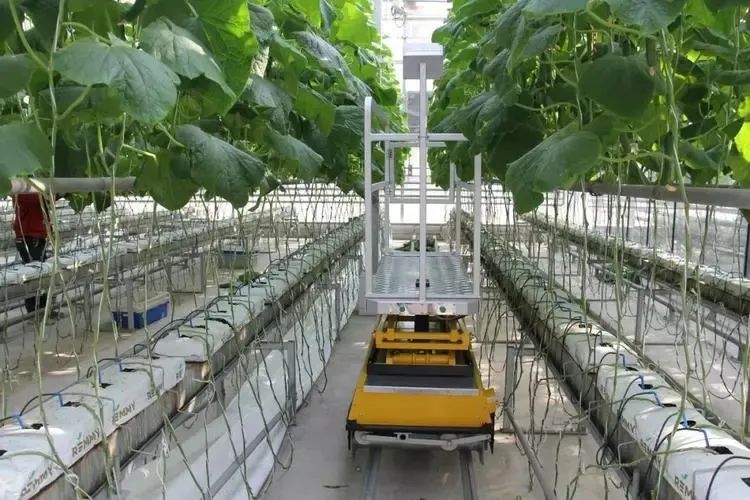 農業(yè)機械化成就“獻禮”黨的二十大