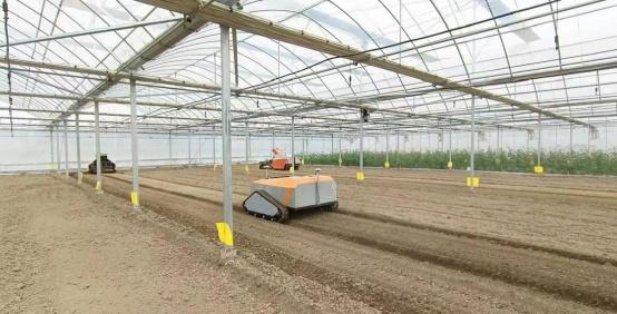 王金悅:機器人農場繪就智慧農業新圖景 王金悅:機器人農場繪就智慧農業新圖景