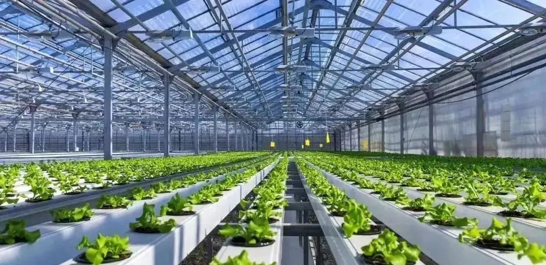 政策紅利！我國智慧農(nóng)業(yè)發(fā)展全解