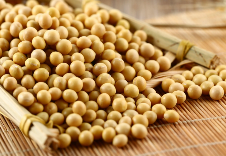 充分發(fā)揮大豆在我國食物系統(tǒng)中的獨特價值 充分發(fā)揮大豆在我國食物系統(tǒng)中的獨特價值